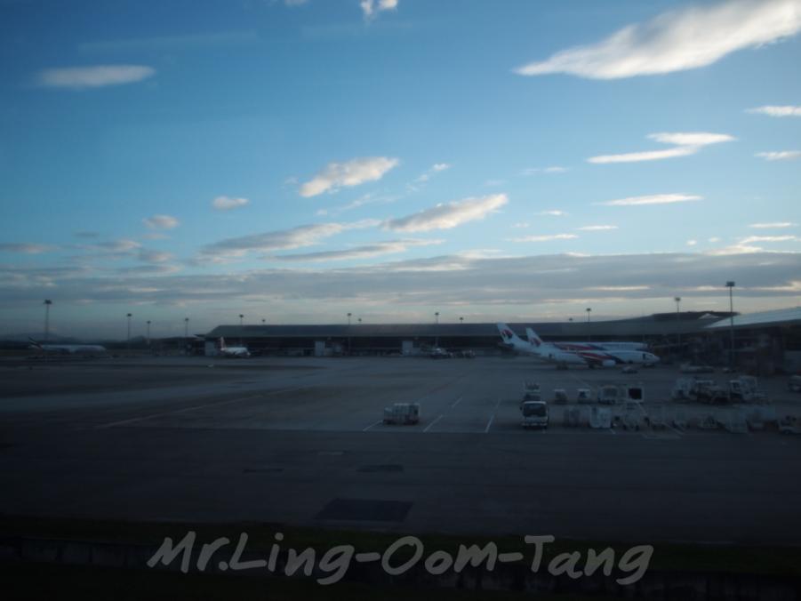 batch_P2190134.JPG