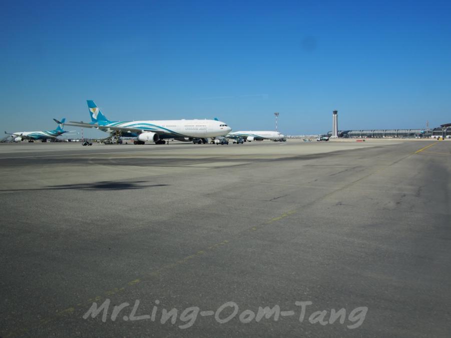 batch_P2190226.JPG