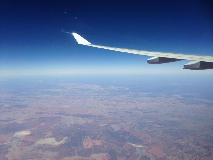 wing.jpg