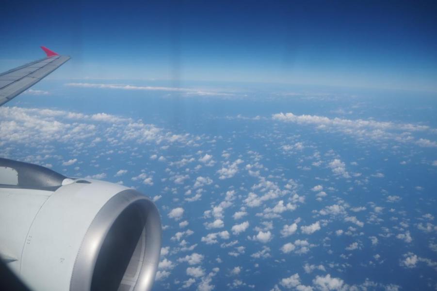 P2280645.JPG