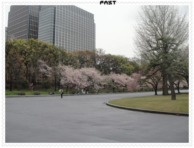 JapanDSC03268-1441.JPG