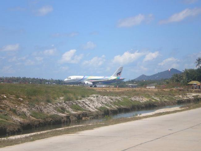 78.jpg
