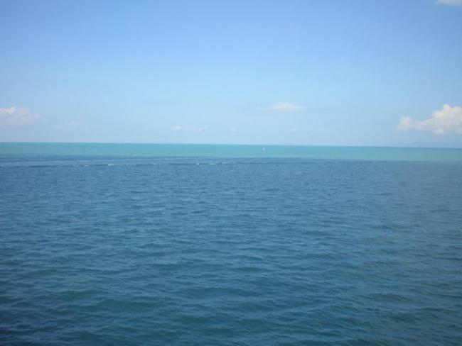 110.jpg