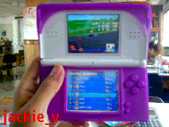 DS.gif