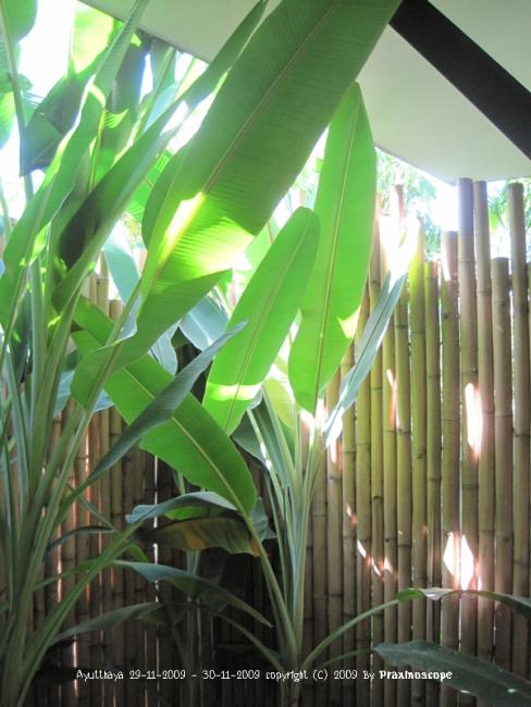 Baan Thai House18.JPG
