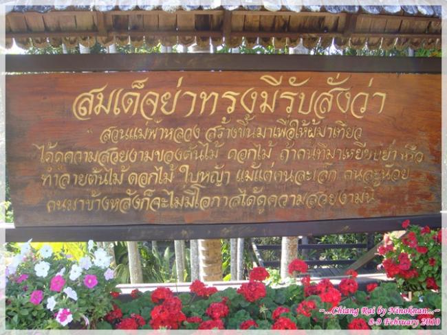 131.JPG