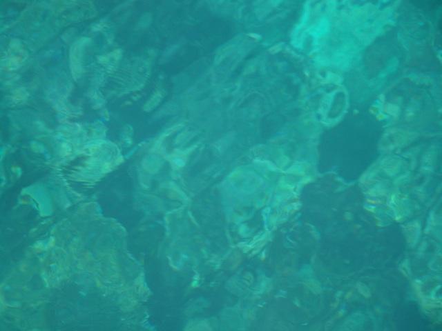 DSC01457.jpeg