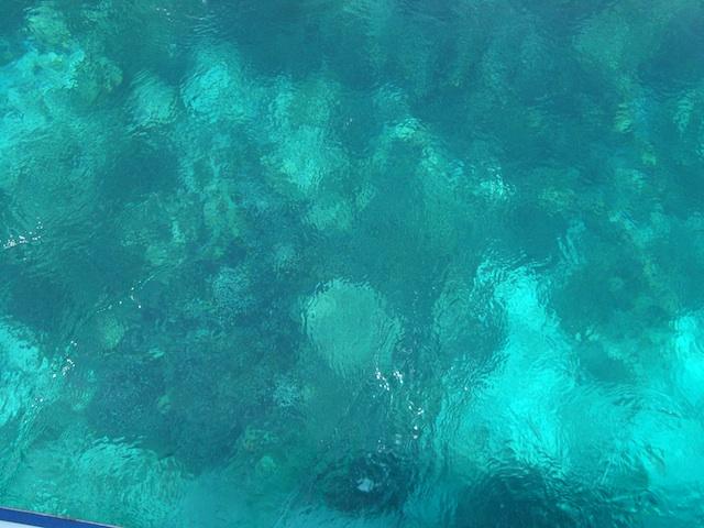 DSC01521.jpeg