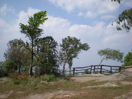 DSCN8624_resize.JPG