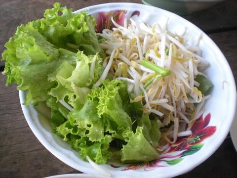 DSCN8839_resize.jpg