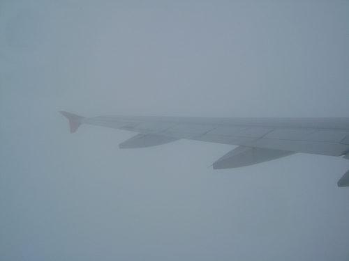 DSC02906_resize.JPG