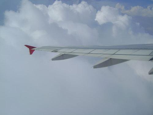 DSC02907_resize.JPG