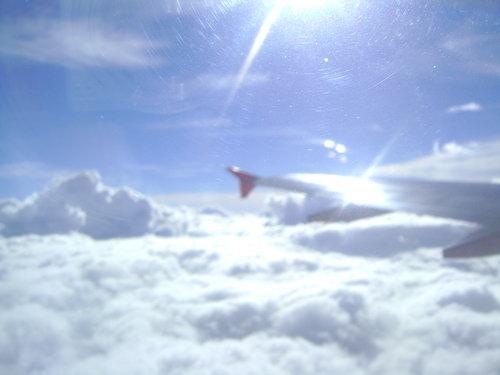 DSC02908_resize.JPG
