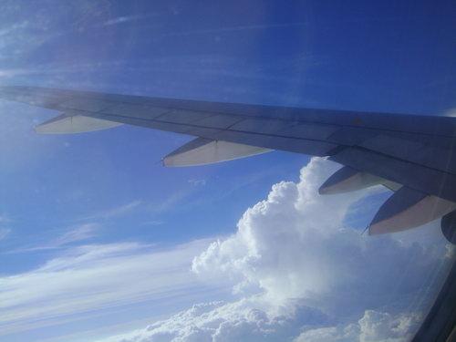 DSC02909_resize.JPG