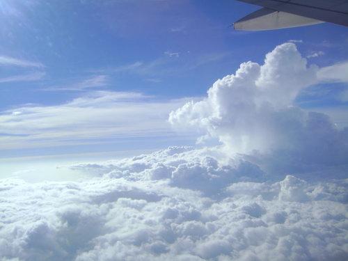 DSC02910_resize.JPG