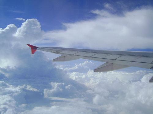 DSC02911_resize.JPG