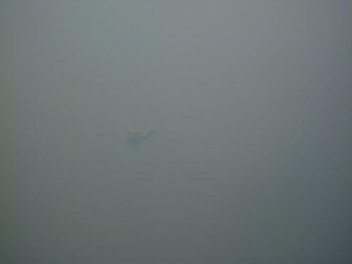 DSC02933_resize.JPG