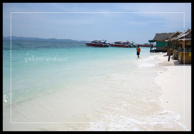 pk026-1.jpg