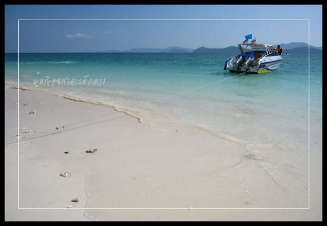 pk028-1.jpg