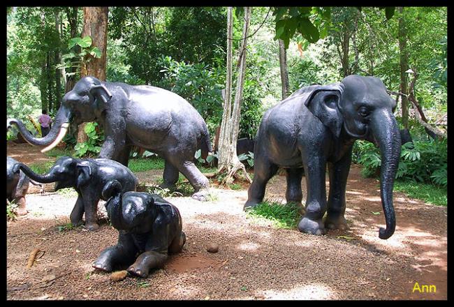 LAOS103.jpg