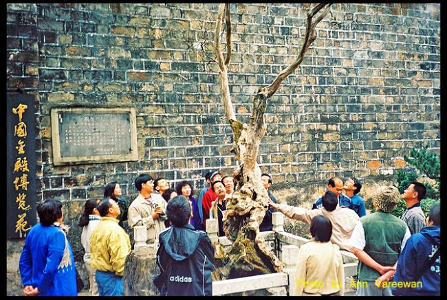 china042.jpg