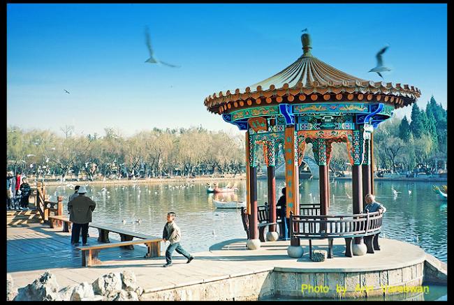 china107.jpg