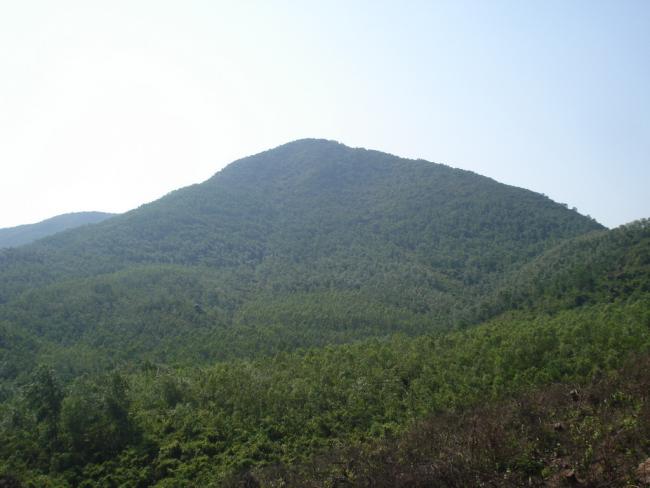 DSC00694_resize.JPG