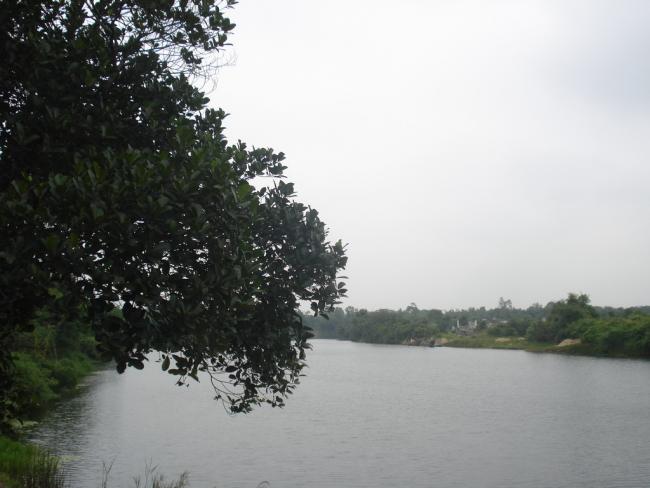 DSC00976_resize.JPG