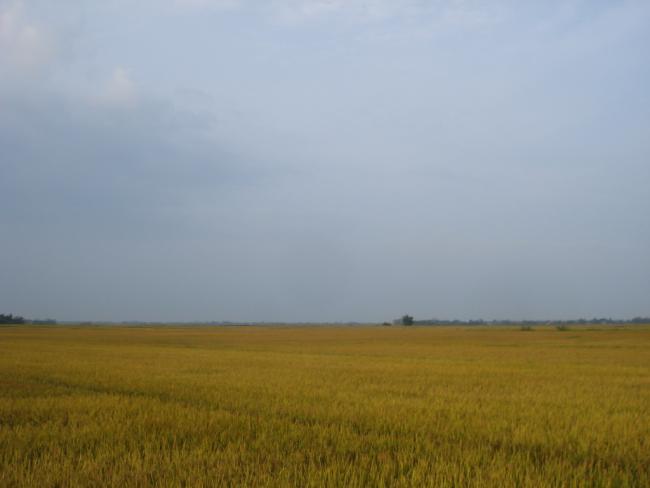 DSC01212_resize.JPG
