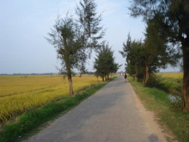 DSC01214_resize.JPG