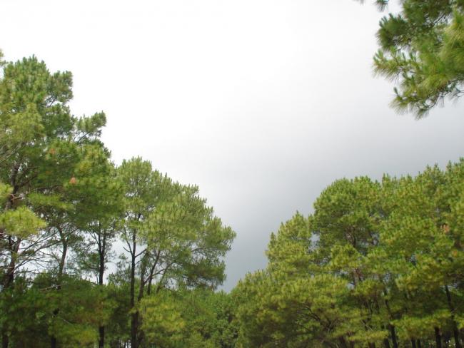DSC01348_resize.JPG