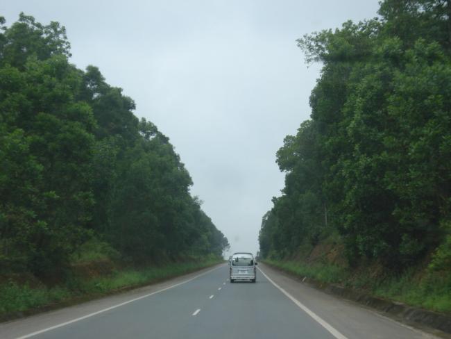 DSC01638_resize.JPG