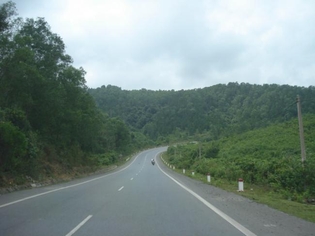 DSC01647_resize.JPG