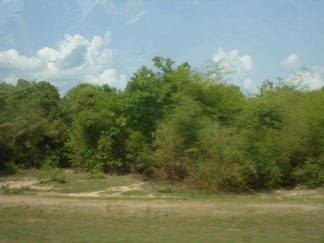 DSC01676_resize.JPG