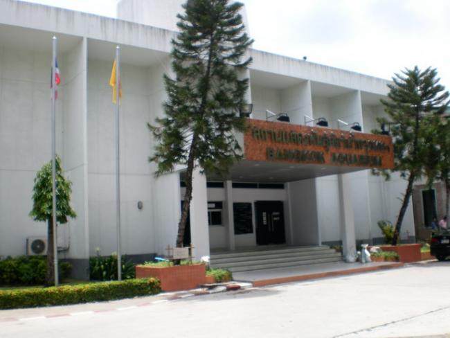 SANY6453.jpg