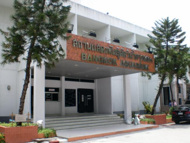 SANY6452.jpg