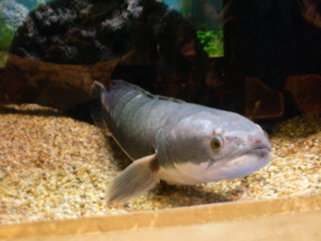 SANY6218.jpg