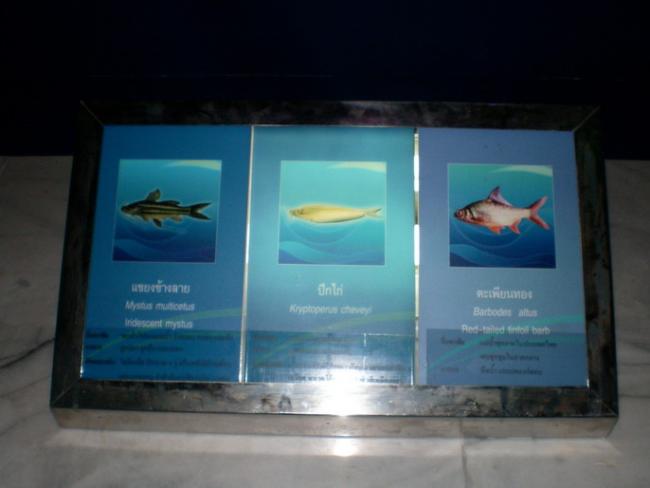 SANY6238.jpg