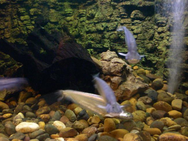 SANY6270.jpg