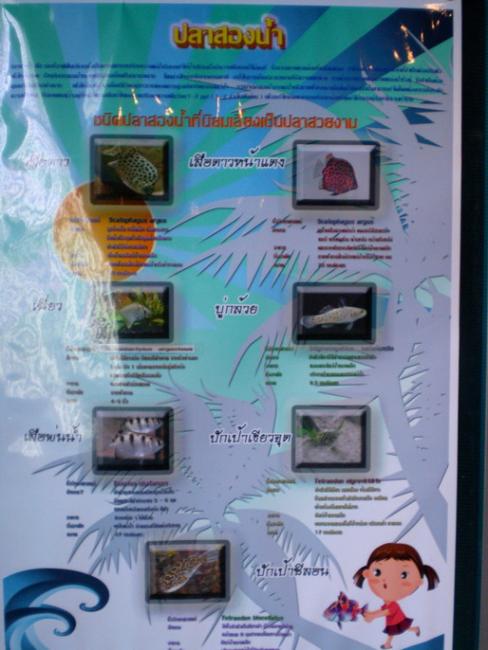 SANY6292.jpg