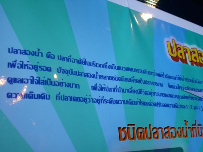 SANY6293.jpg