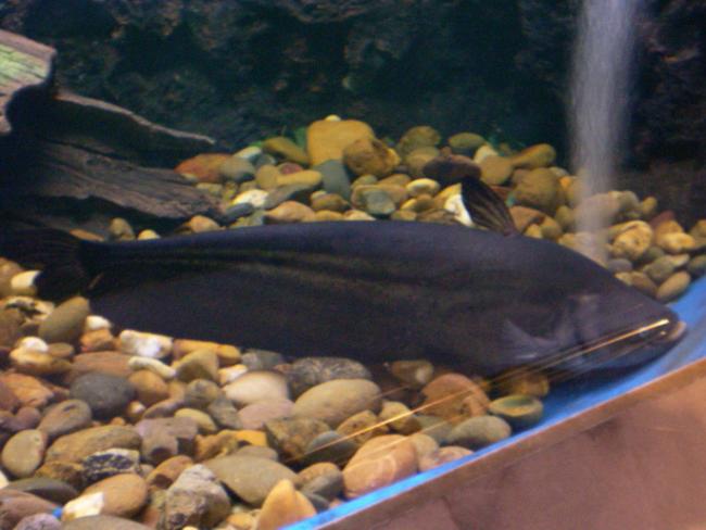 SANY6304.jpg