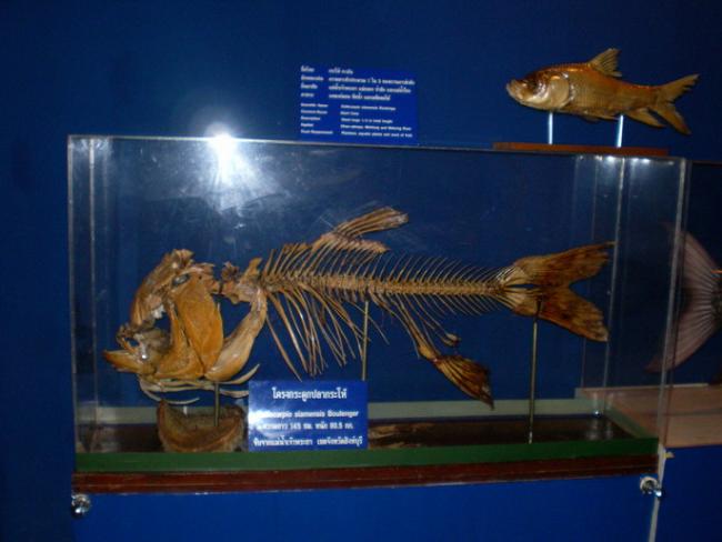 SANY6349.jpg
