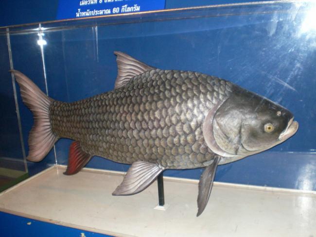 SANY6352.jpg