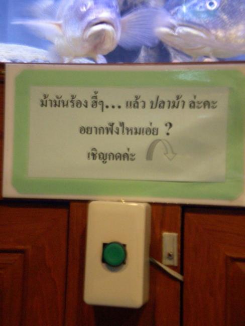 SANY6369.jpg