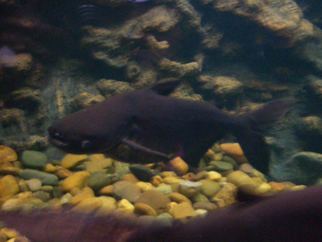 SANY6376.jpg