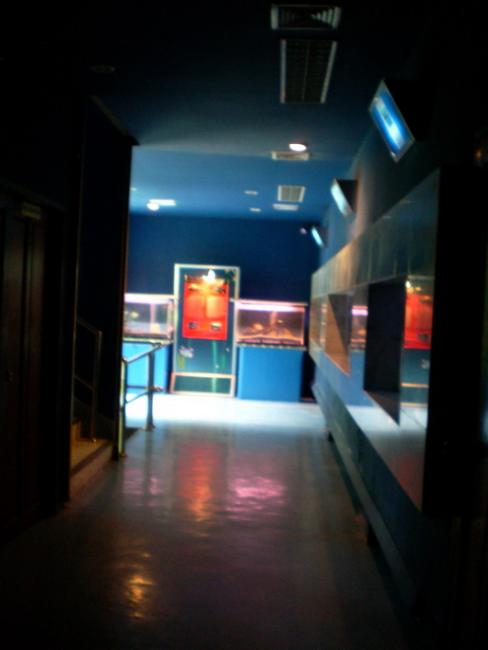 SANY6413.jpg