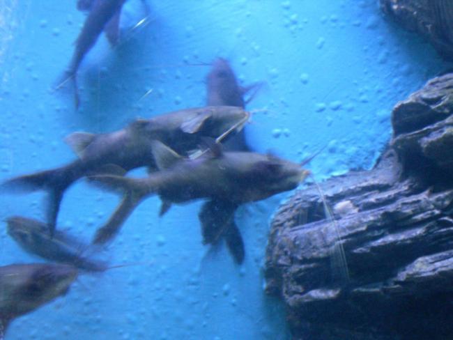 SANY6416.jpg