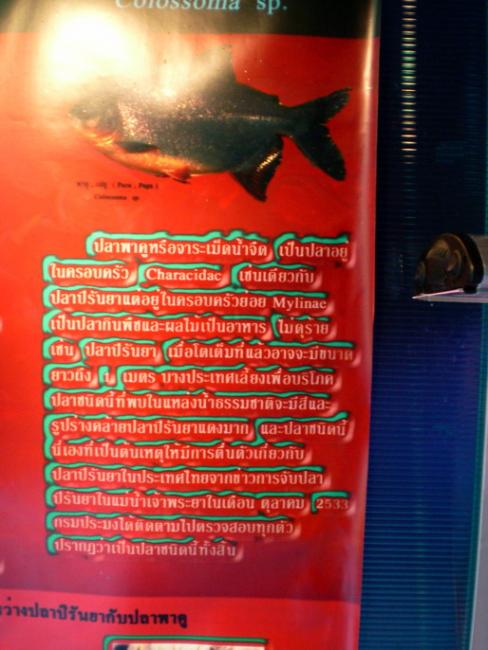 SANY6434.jpg