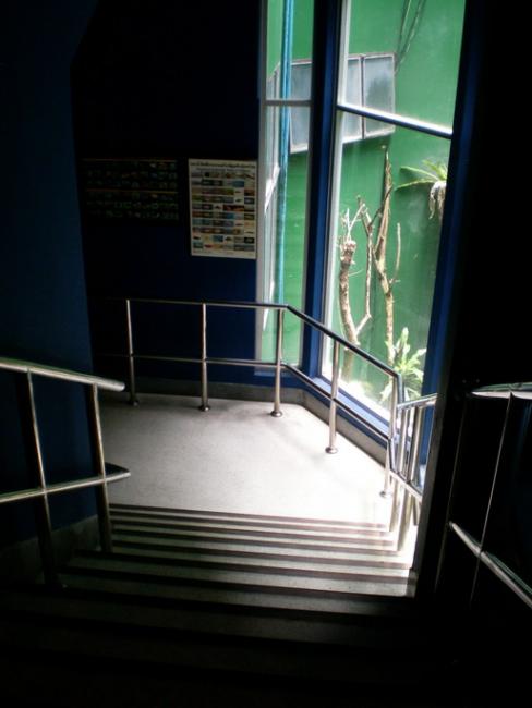 SANY6437.jpg